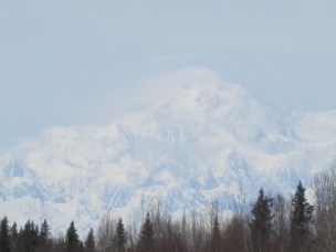 new-alaska-pics-7