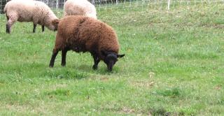 sept-oct-2013-025_crop_crop