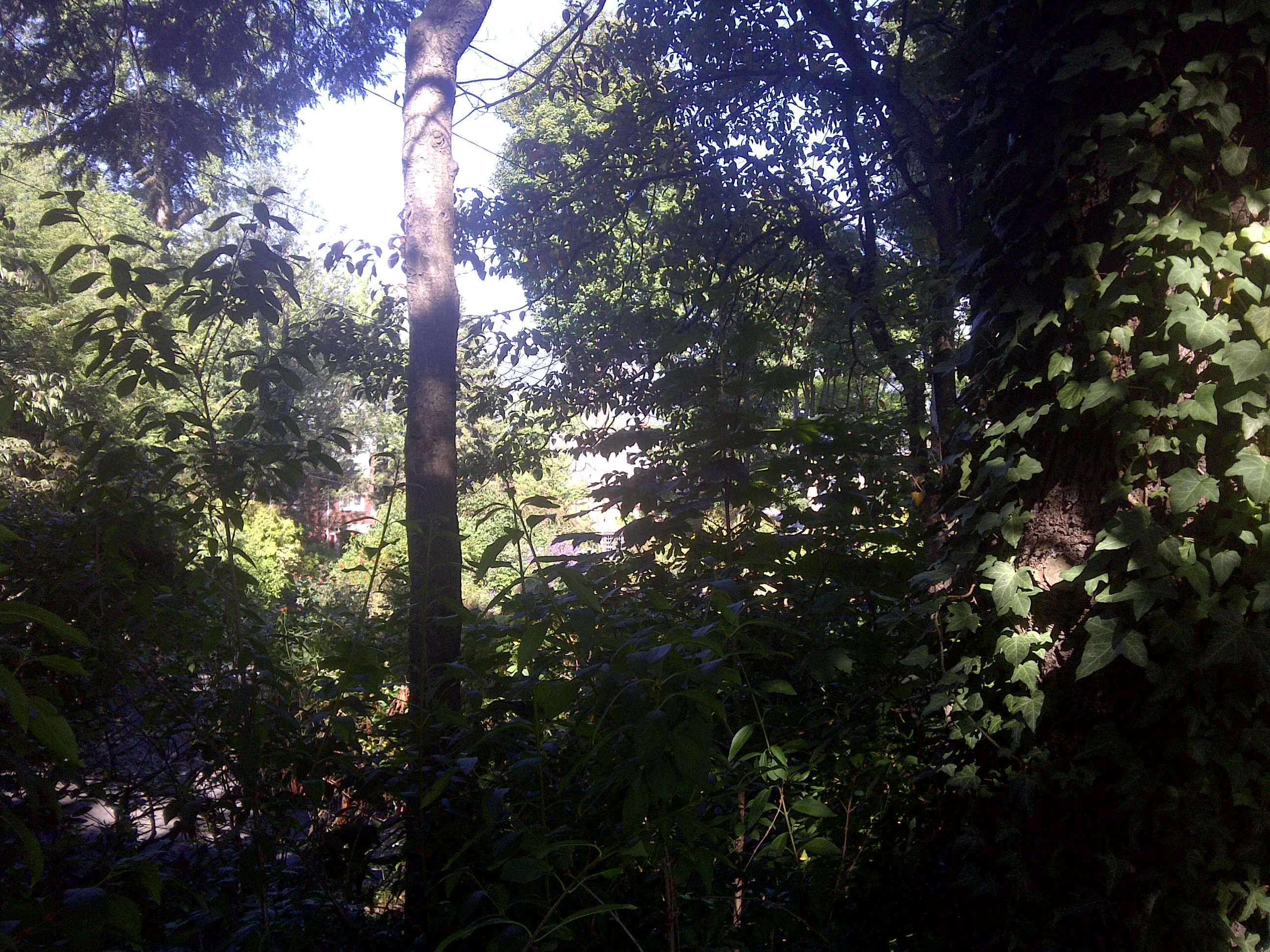 scranton-20130918-00261