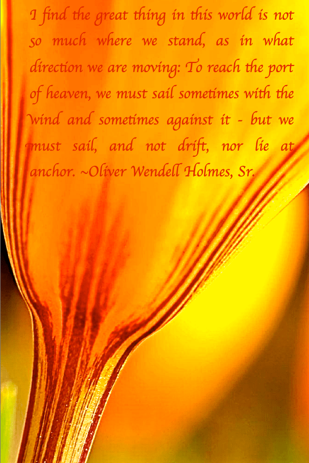 Screen Shot 2017-11-11 at 9.15.04 PM.png