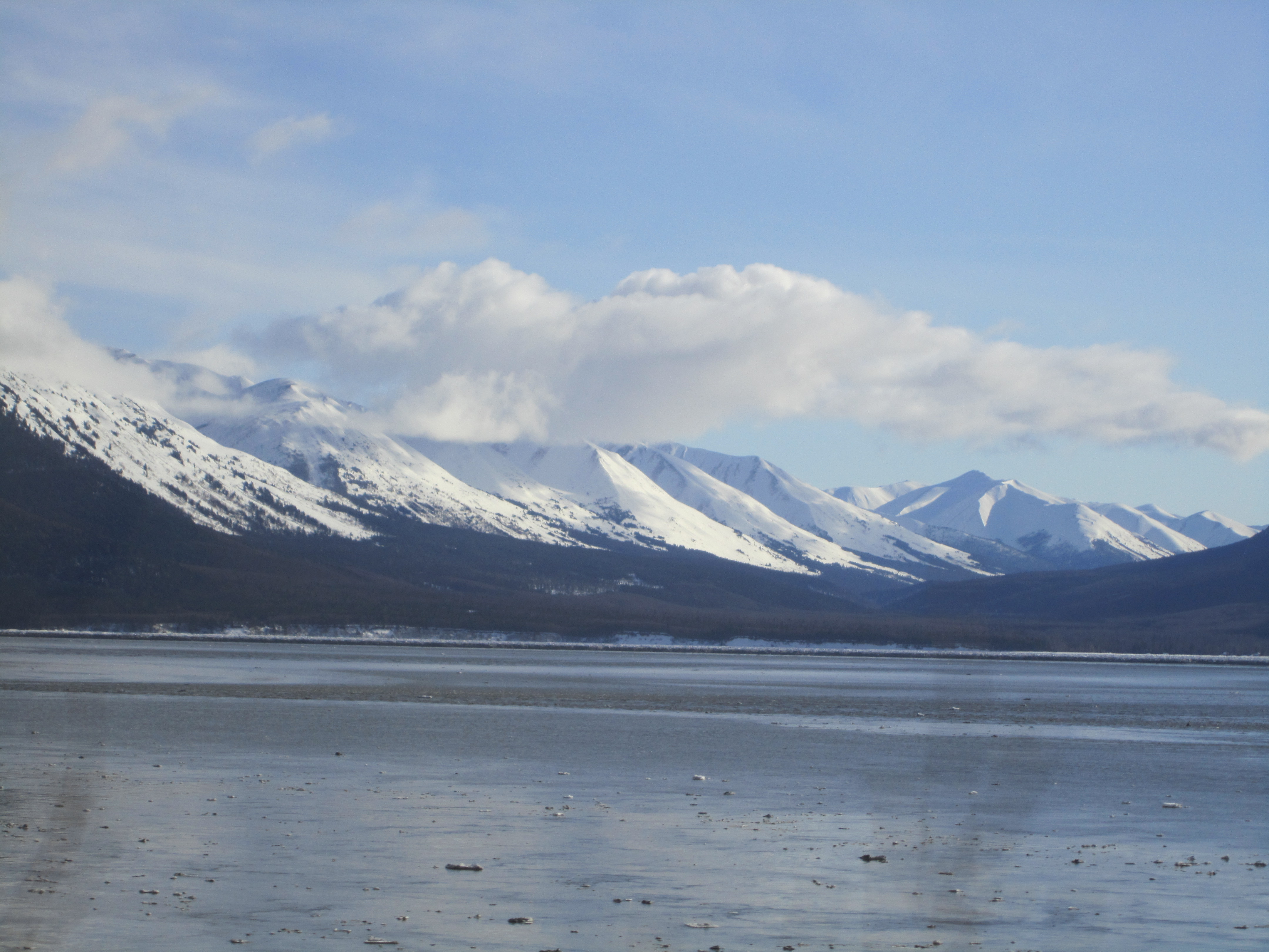 alaska foto 5
