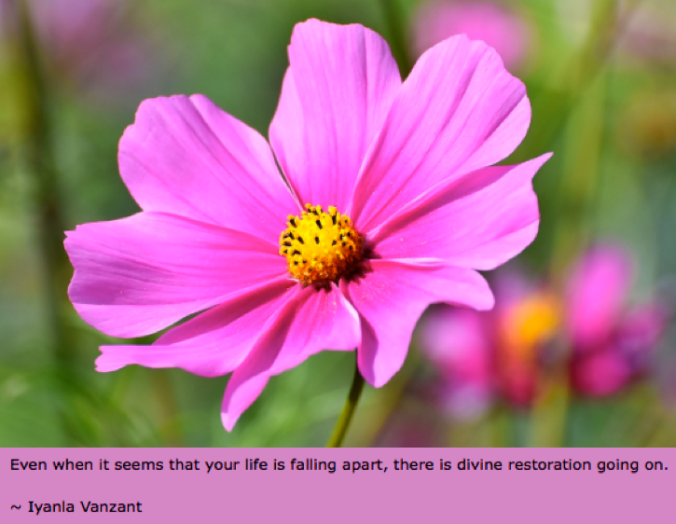 Screen Shot 2018-12-05 at 10.19.43 PM.png