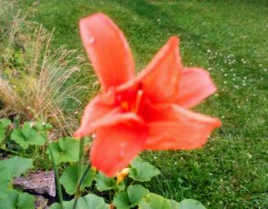 Imported from phone 065