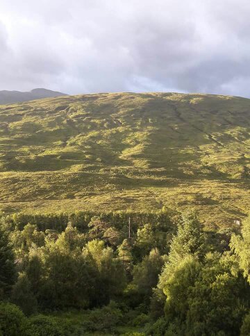 Imported from phone 786