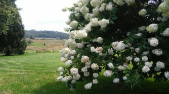 Imported from phone 857