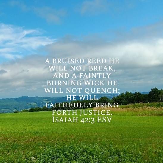 Bruised Reeds | praise2worshipdotnet